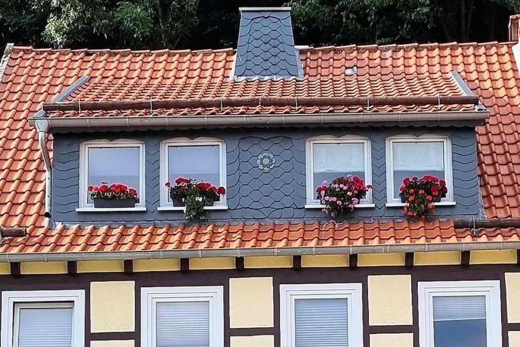Apartment Stadt-ferienwohnung Mit 55 M² Fuer 2 Erw. Personen Und Kind Bis 3 Jahren Bad Lauterberg